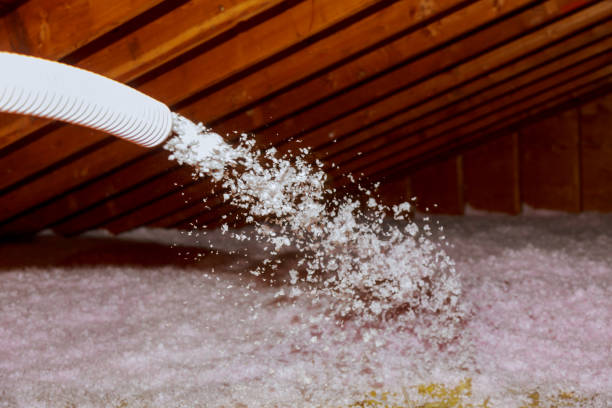 Best Specialized Insulation Services in Maitland, FL
