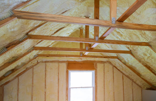 Best Energy Efficiency Insulation in Maitland, FL
