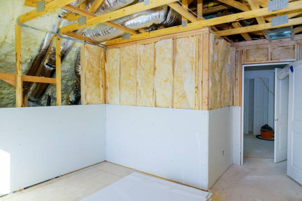 Professional Insulation Contractor in Maitland, FL