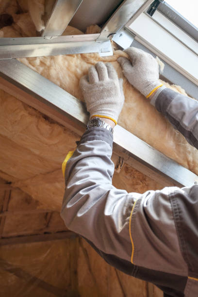 Best Eco-Friendly Insulation in Maitland, FL