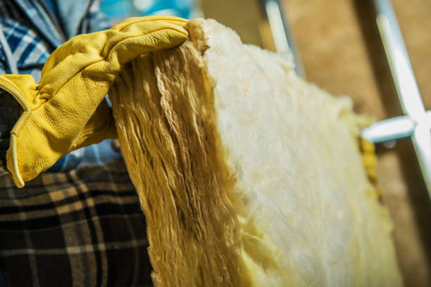 Best Blown-in Insulation in Maitland, FL