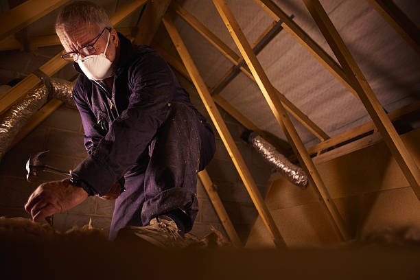 Best Spray Foam Insulation in Maitland, FL
