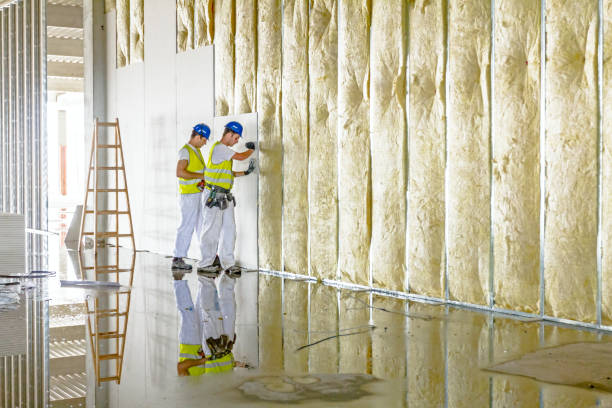 Types of Insulation We Offer in Maitland, FL